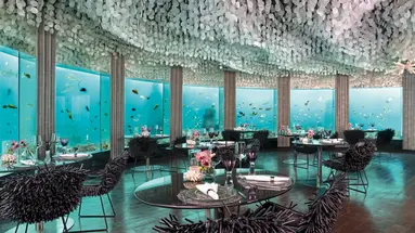 Niyama Maledives