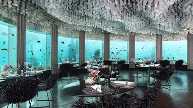 Niyama Maledives