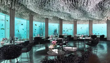 Niyama Maledives