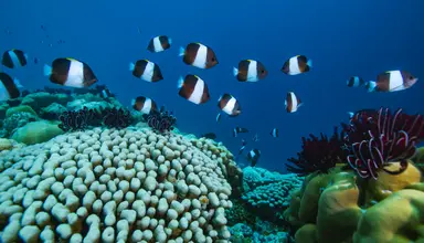 Noku Maldives