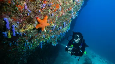 Noku Maldives