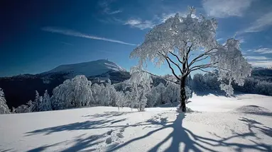 Norge