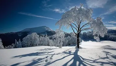 Norge
