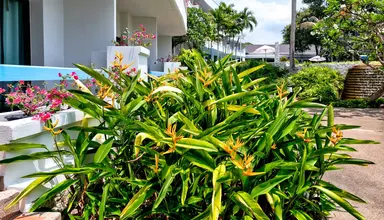 Novotel Rayong Rim Pae Resort
