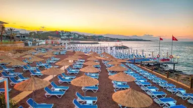 Numa Bay Exclusive
