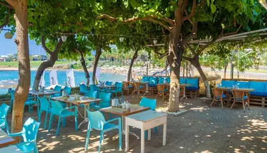 Numa Bay Exclusive