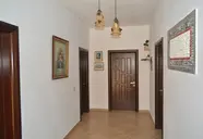 Nuovo Sun Golem