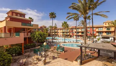 O7 Aloe Corralejo 