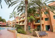 O7 Aloe Corralejo 