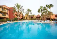 O7 Aloe Corralejo 