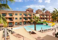 O7 Aloe Corralejo 