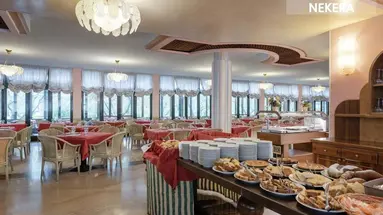 Oasi