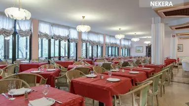 Oasi