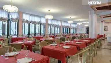 Oasi