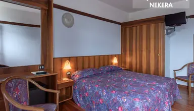 Oasi