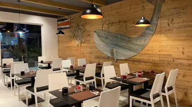 Oasis Atlantico White