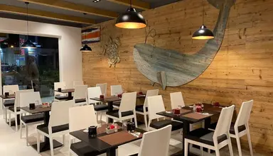 Oasis Atlantico White