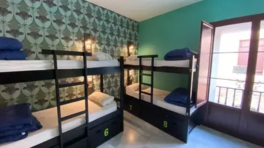 Oasis Backpackers' Palace