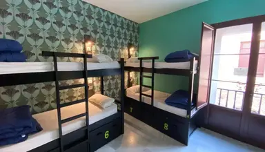 Oasis Backpackers' Palace