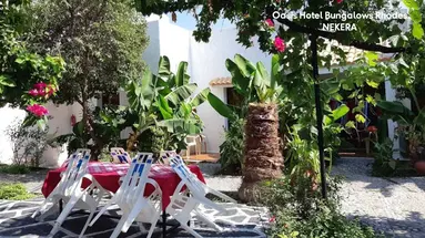 Oasis Bungalows