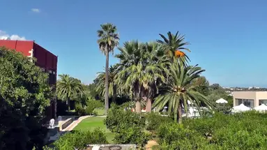 Oasis (Chania)