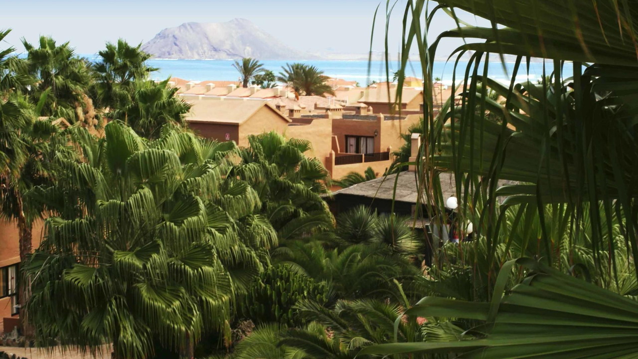 Oasis Dunas