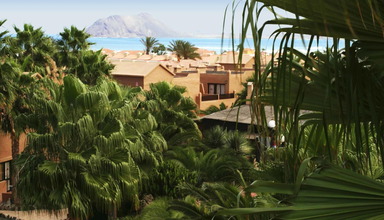 Oasis Dunas