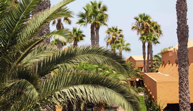 Oasis Dunas