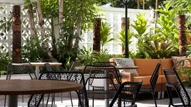 Oasis (ex. Aqua Oasis)