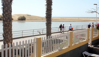 Oasis Maspalomas