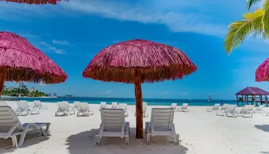 Oasis Palm Beach