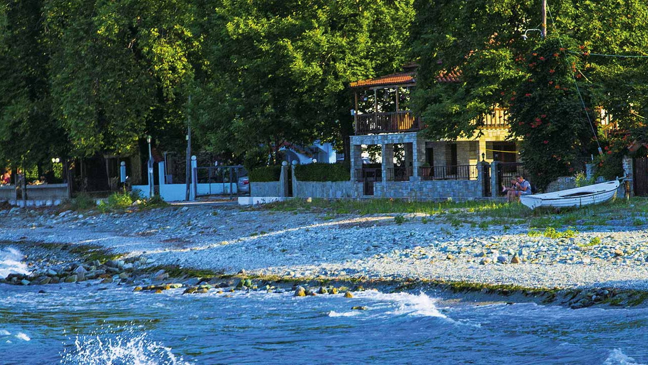 Oasis Studia
