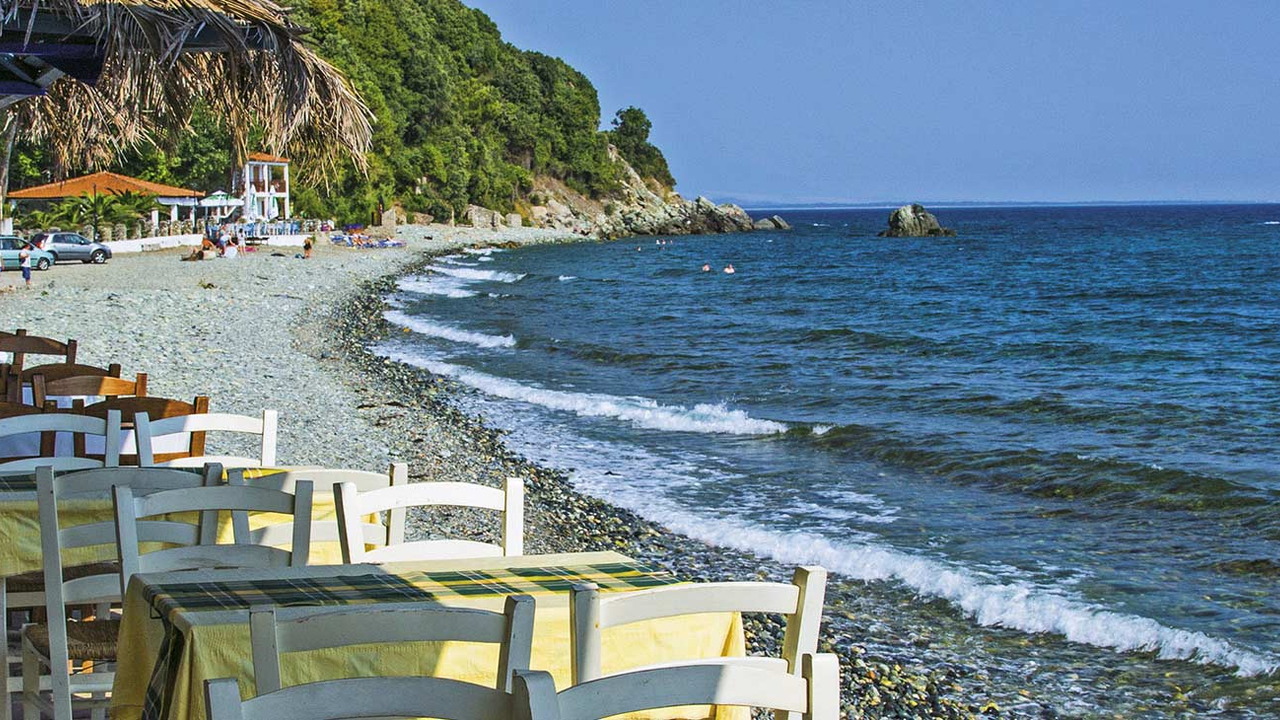 Oasis Studia