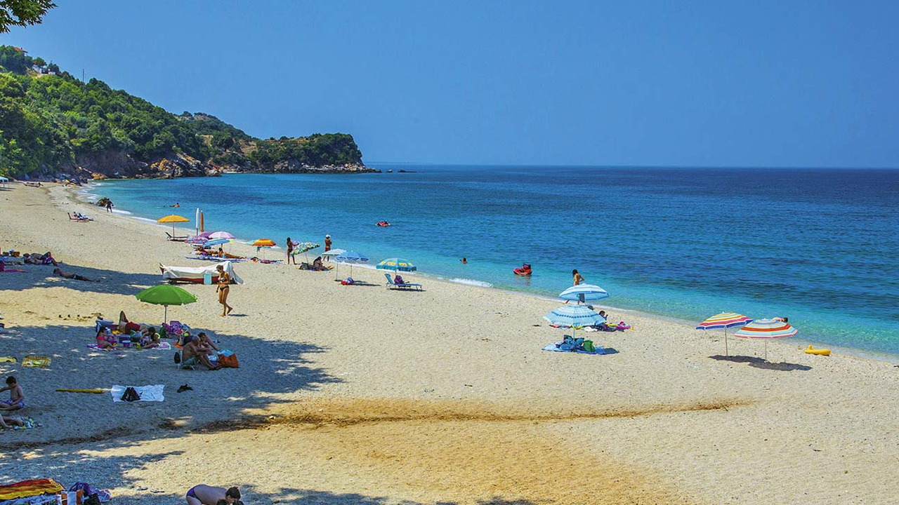 Oasis Studia