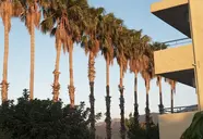 Oasis (Tigaki)