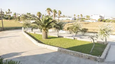 Oasis (Tigaki)