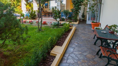 Oasis