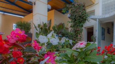 Oasis