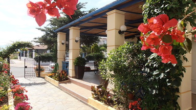 Oasis
