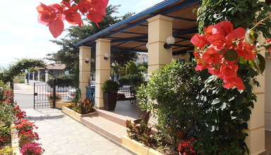 Oasis