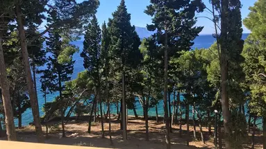Oaza (Gradac)