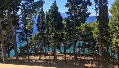 Oaza (Gradac)