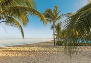 Occidental Allegro Cozumel