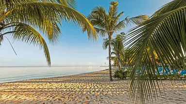 Occidental Allegro Cozumel