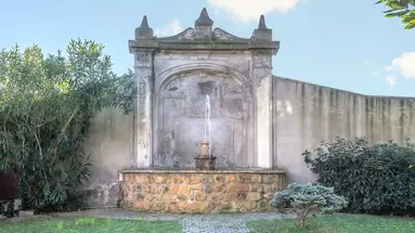 Occidental Aurelia