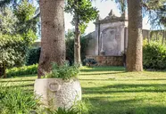 Occidental Aurelia