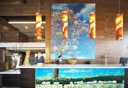 Occidental Cala Vinas