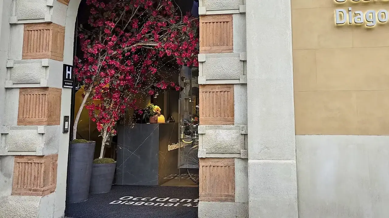 Occidental Diagonal 414