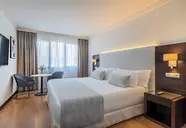 Occidental Granada