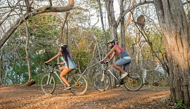 Occidental Papagayo